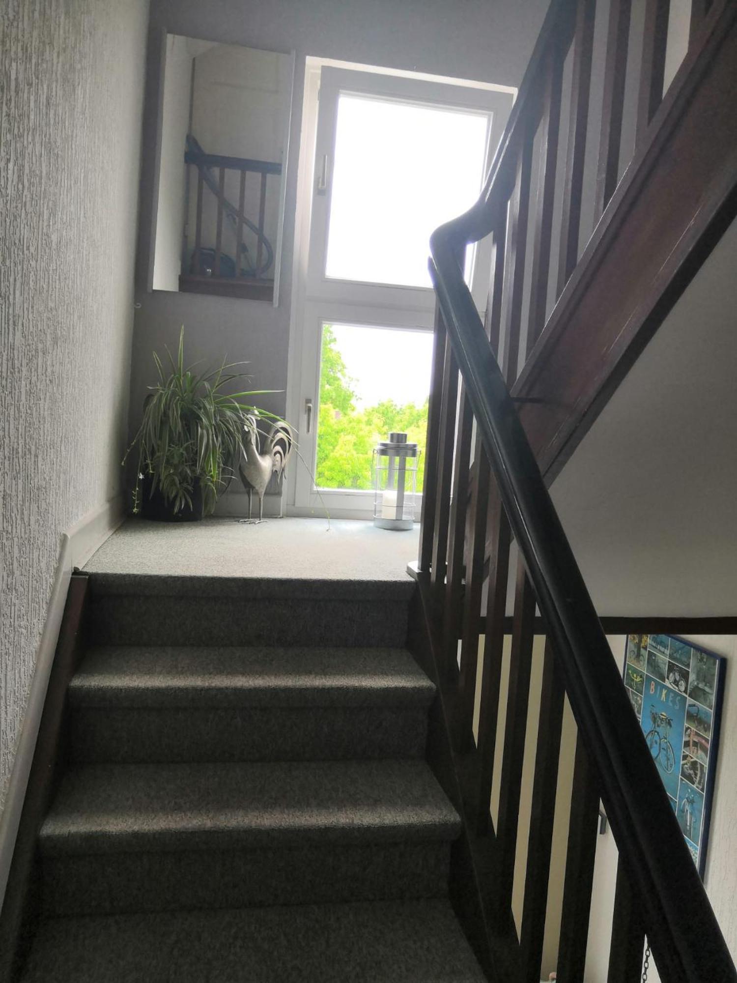 Haus Prante Ferienwohnungen Bad Pyrmont Ngoại thất bức ảnh